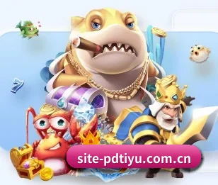 site-pdtiyu.com.cn围绕看球场景设计的核心服务